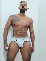 Novedad VENEZOLANO