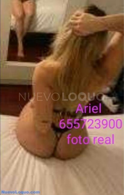 NuevoLoquo3