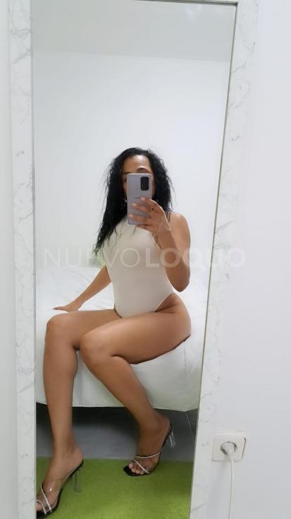 NuevoLoquo1