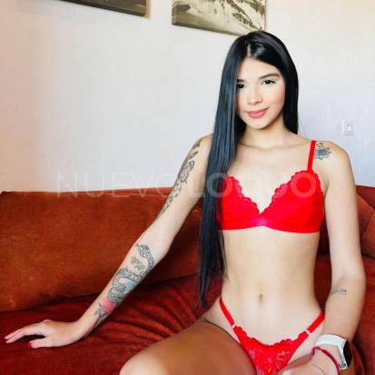 NuevoLoquo2