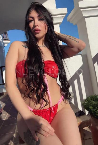 NuevoLoquo2