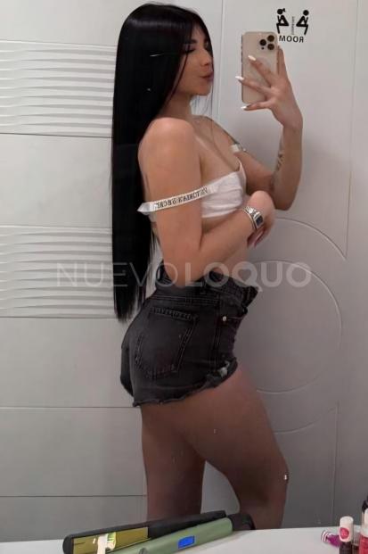 NuevoLoquo3
