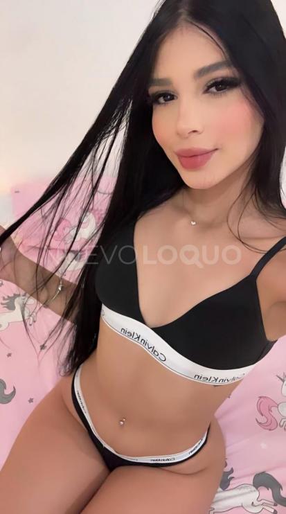 NuevoLoquo3