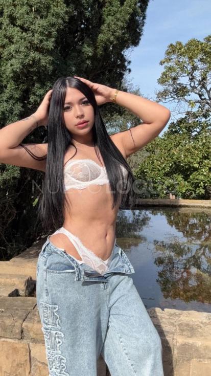NuevoLoquo3