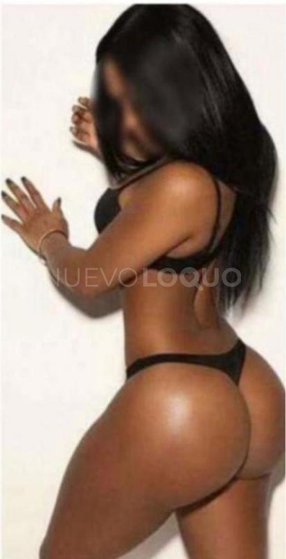 NuevoLoquo2
