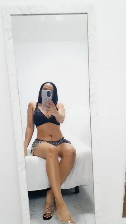 NuevoLoquo2