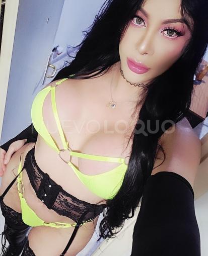 NuevoLoquo3