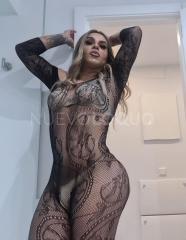 Experta en principiantes ALICE MEXICANA