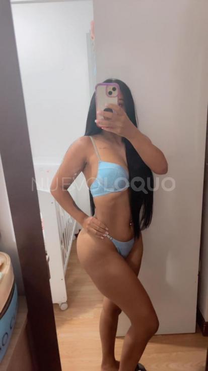 NuevoLoquo2