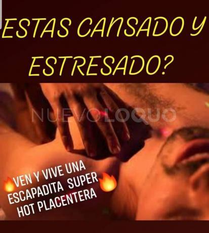 NuevoLoquo3