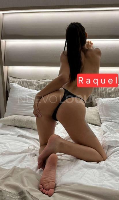 NuevoLoquo3