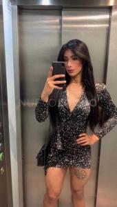 NEW TRANS   A COMPLETA HS