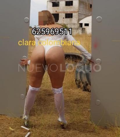 NuevoLoquo2