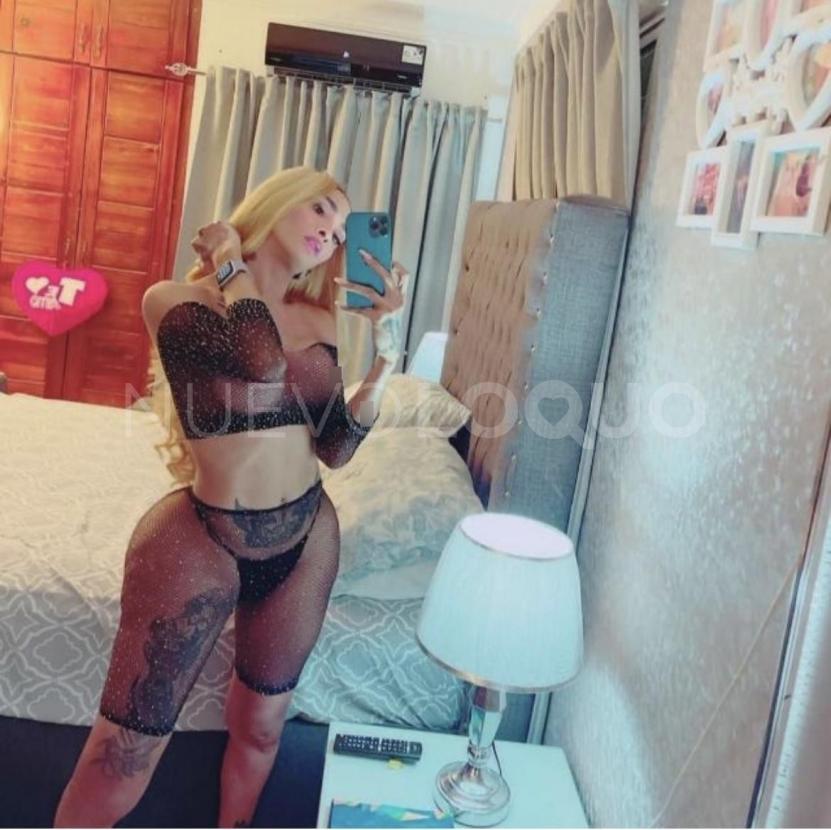 NuevoLoquo1