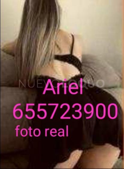 NuevoLoquo2
