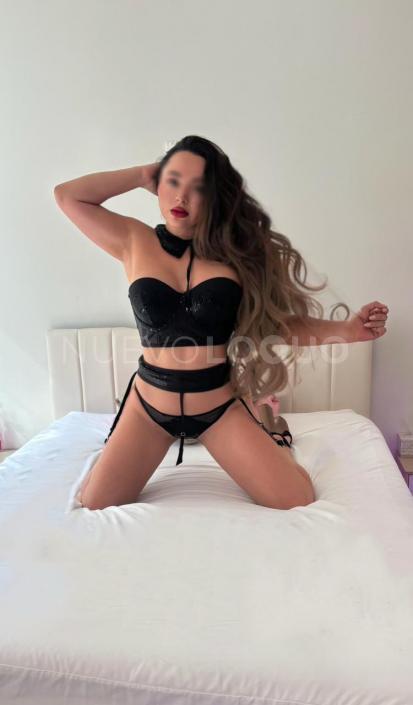 NuevoLoquo2