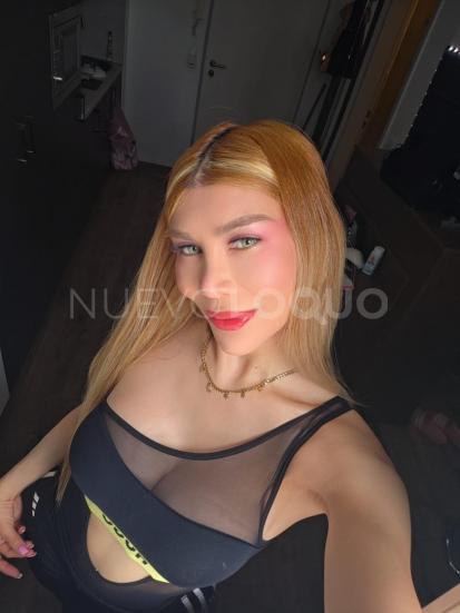 NuevoLoquo4
