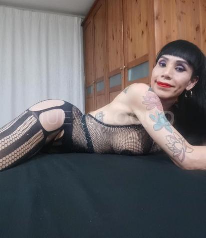 NuevoLoquo4
