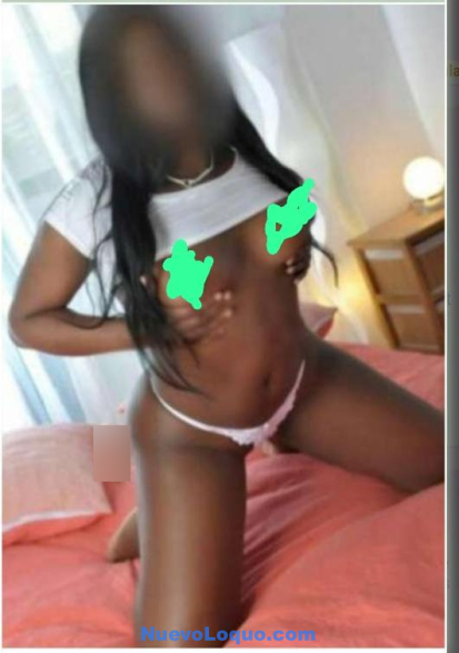  Perla 