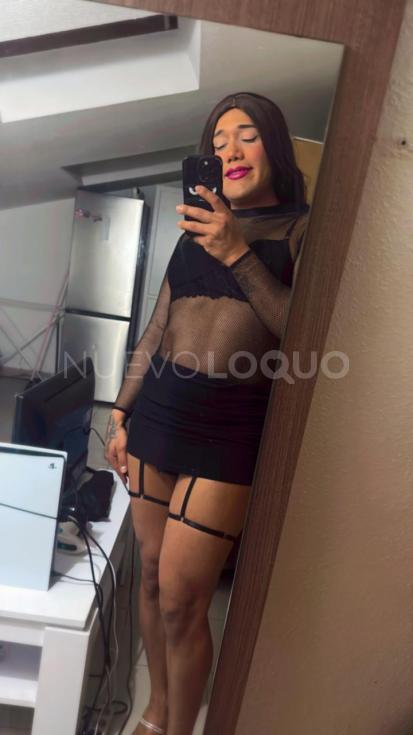 NuevoLoquo3