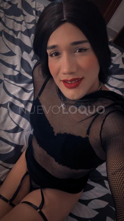 NuevoLoquo4