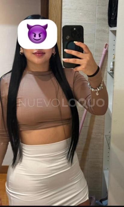NuevoLoquo2