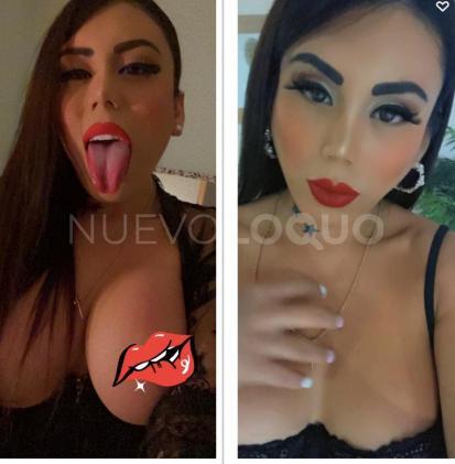 NuevoLoquo4