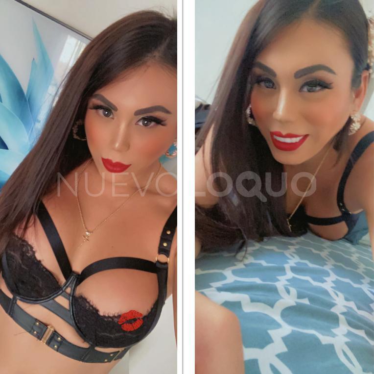 NuevoLoquo3