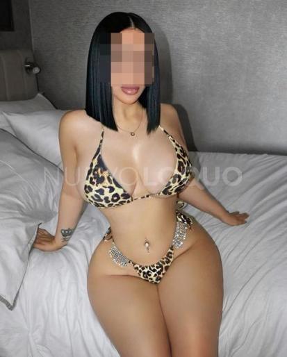 NuevoLoquo2