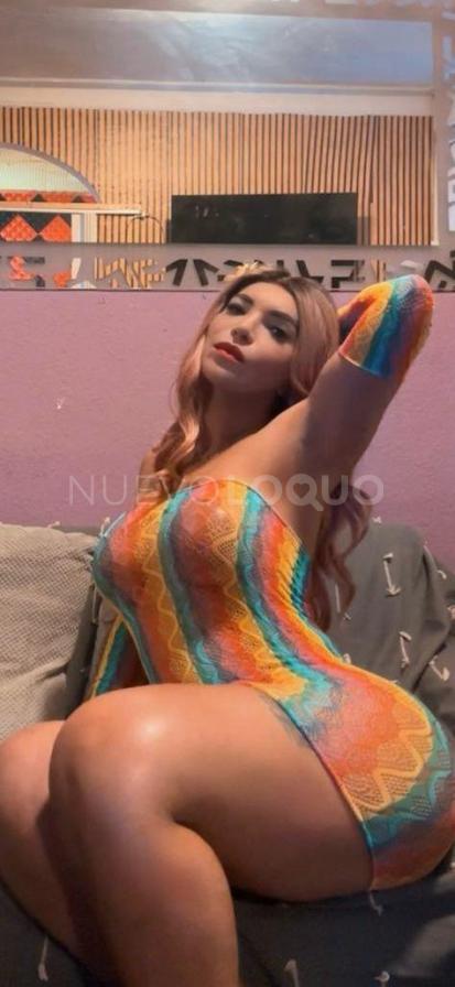 NuevoLoquo4