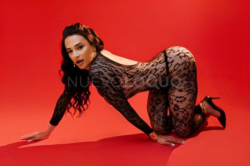 NuevoLoquo2