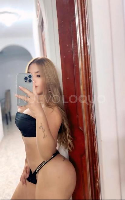 NuevoLoquo3