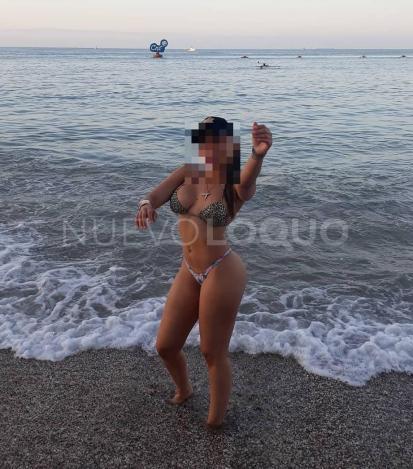 NuevoLoquo2