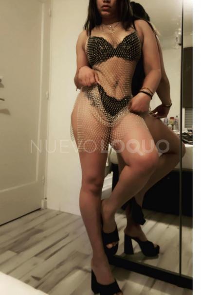 NuevoLoquo2