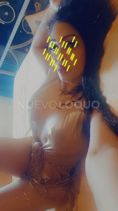 NuevoLoquo2