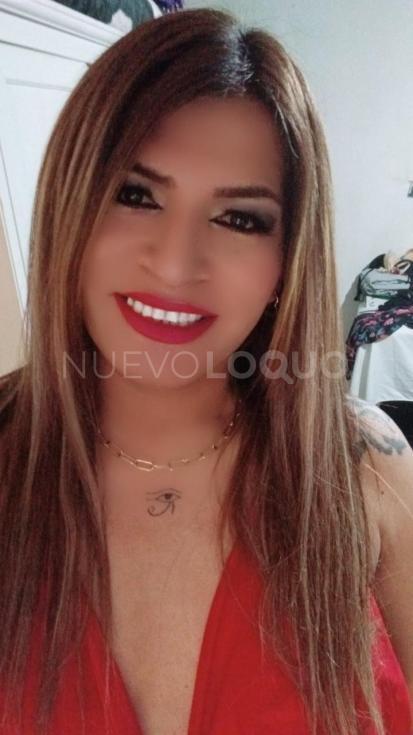 NuevoLoquo4