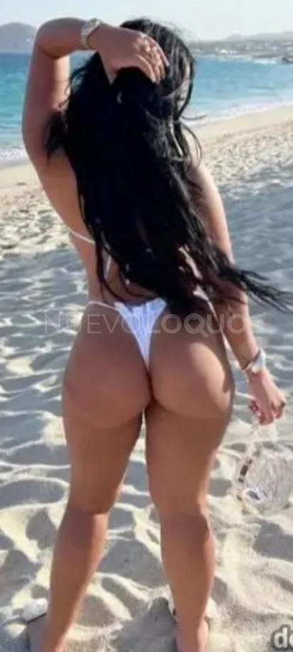 NuevoLoquo5