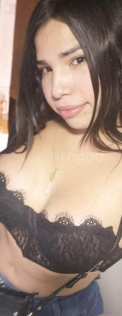 NuevoLoquo4