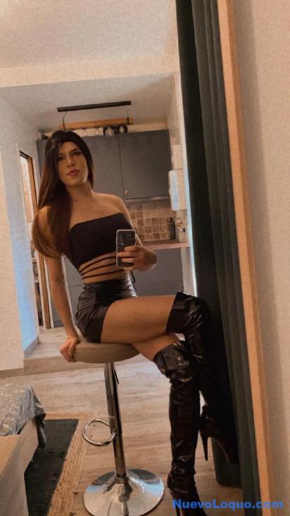 NuevoLoquo3