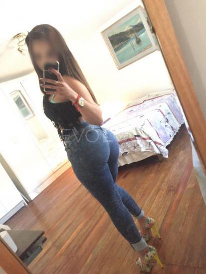 NuevoLoquo3