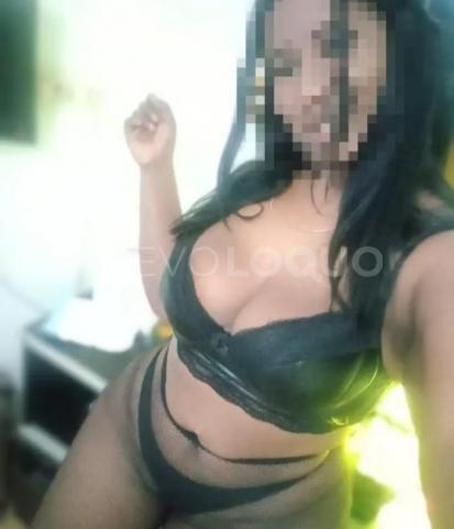 NuevoLoquo4
