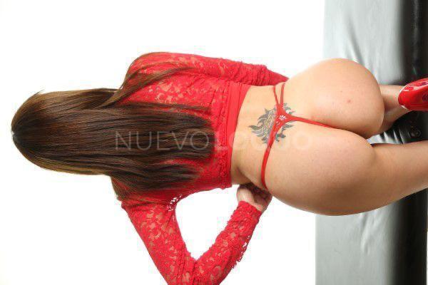 NuevoLoquo3