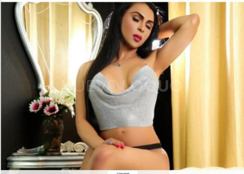 NuevoLoquo1