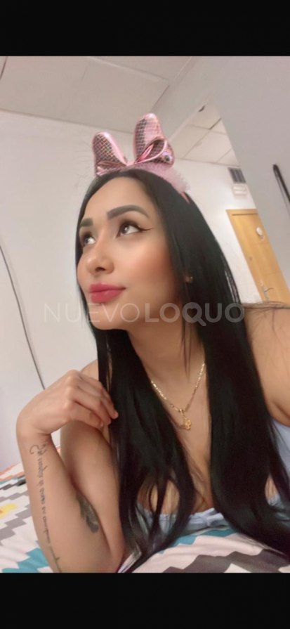 NuevoLoquo3