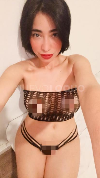 NuevoLoquo5