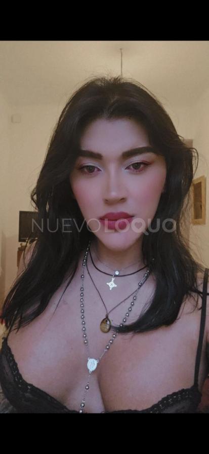 NuevoLoquo1