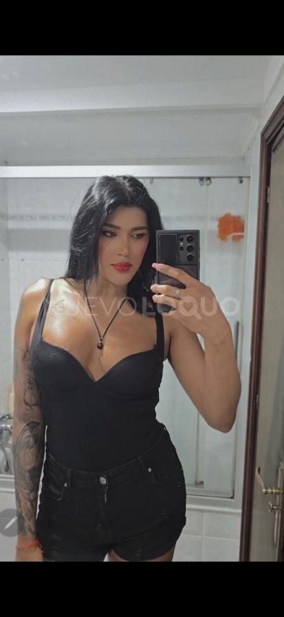 NuevoLoquo3