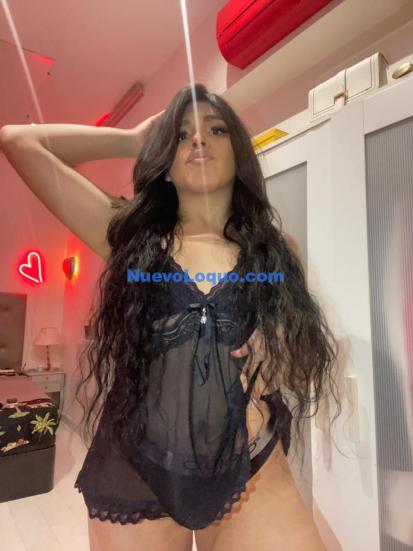 NuevoLoquo3