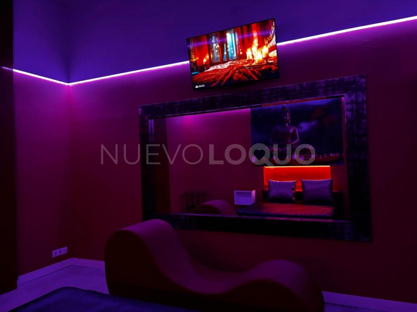 NuevoLoquo5