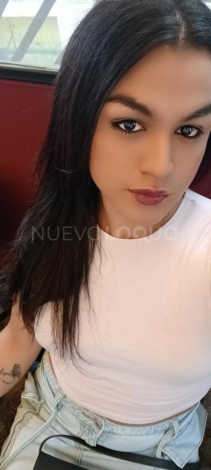 NuevoLoquo4